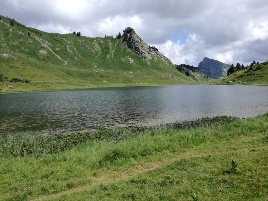 Le Genepi Apartamento Taninges Exterior foto