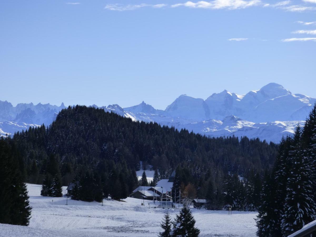 Le Genepi Apartamento Taninges Exterior foto